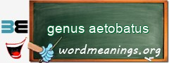 WordMeaning blackboard for genus aetobatus